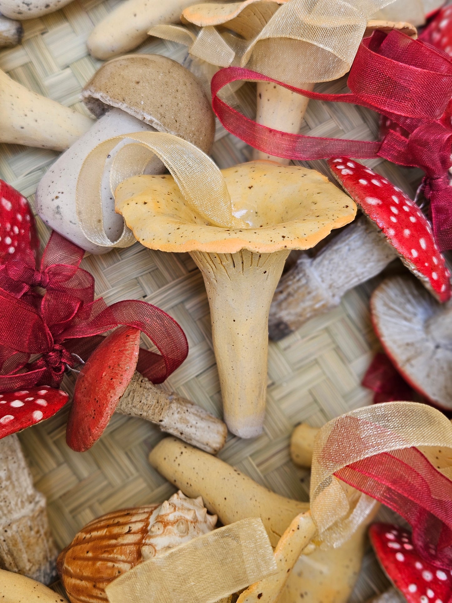 Cantharellus Ferruginascens