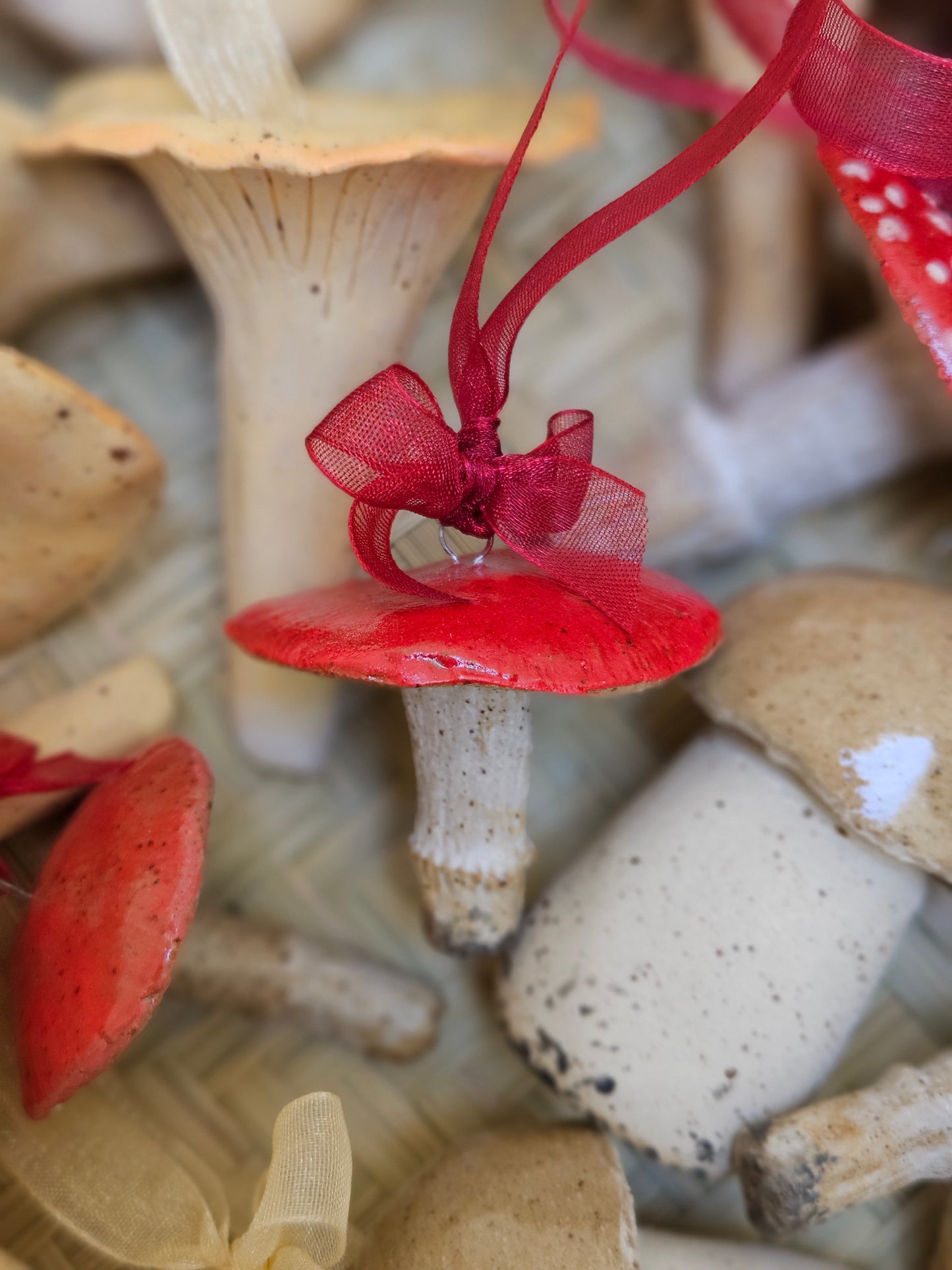 Russula Sanguinaria