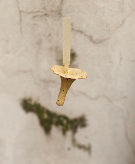 Cantharellus  Ferruginascens